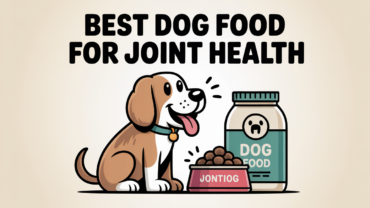 Happy dog running in the park after eating joint health dog food