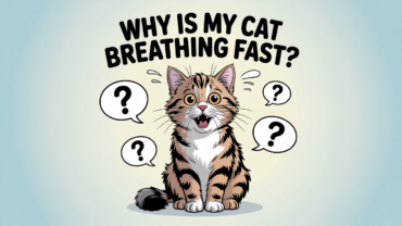 “Cat breathing fast while lying down – possible signs of distress”