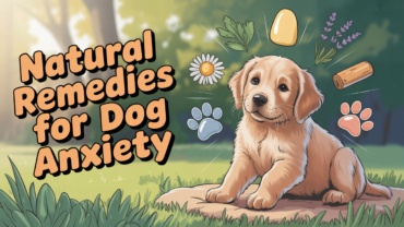 Calm dog resting after using natural anxiety remedies